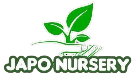 Logo JapoNursery
